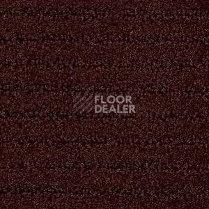 Ковролин Radici Painstripe Moka 2713 фото 1 | FLOORDEALER